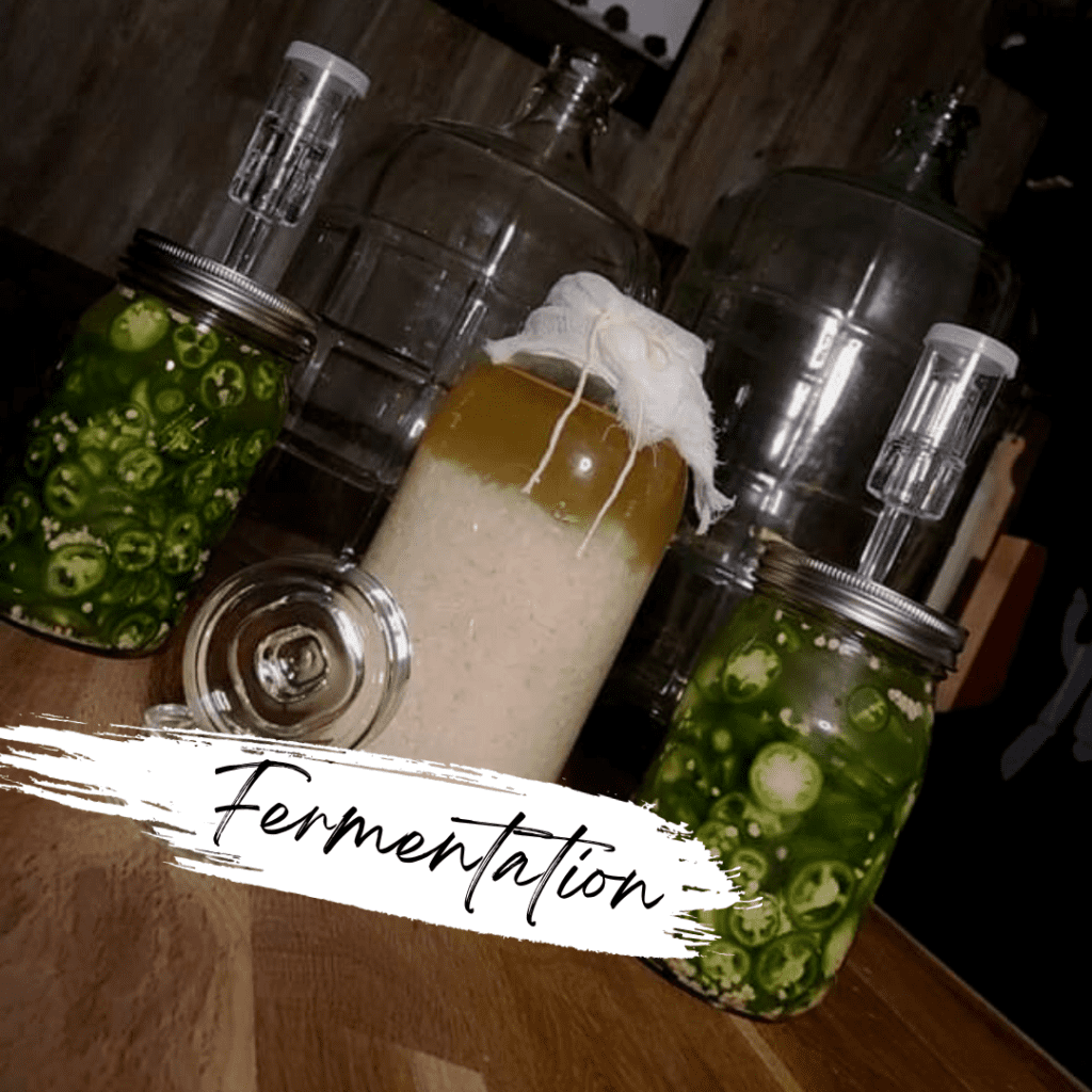 Fermentation